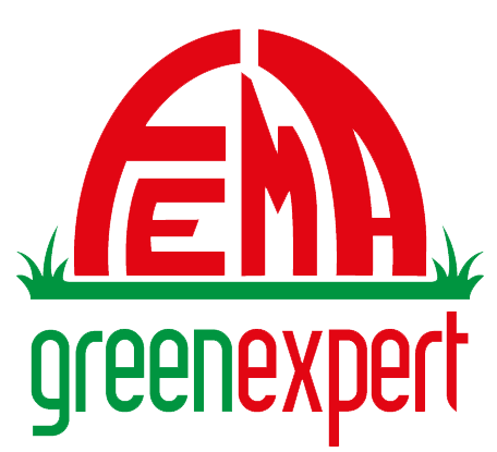 Fema