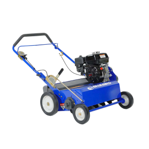 noleggio rigeneratrice manuale BlueBird S-22 Treviso